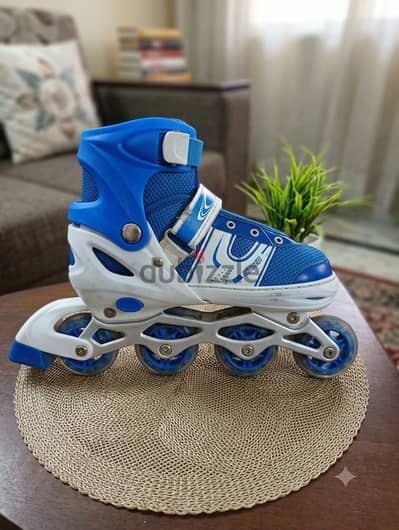 skate استخدام بسيط