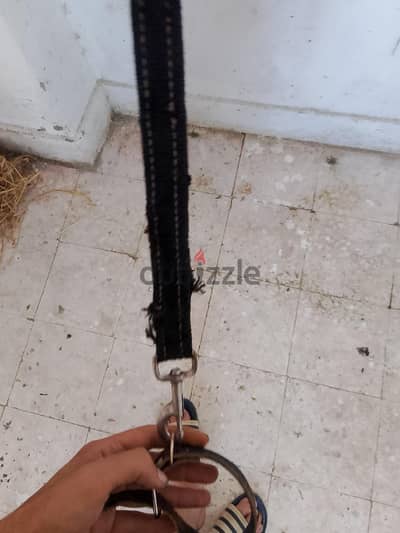 سلسله سلاسل قايش طوق اطواق كلاب عدد 2 مقابض كلب للبيع الاتنين ب150