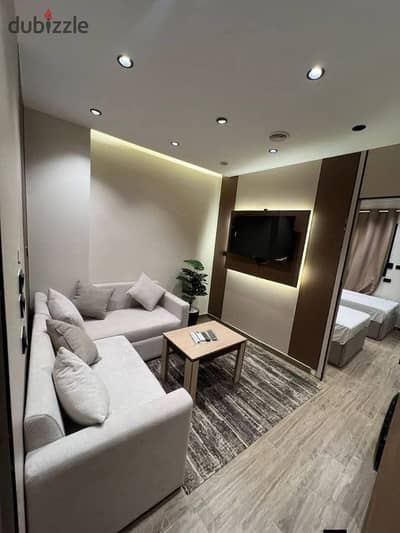 Apartment for rent furnished room and living room and bathroom and kitchen neighborhood first eighth