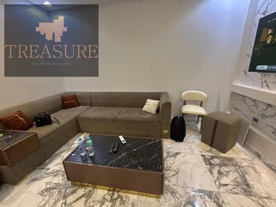 furnished Apartment for rent in Hyde Park