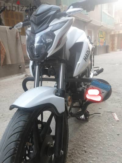 الاسكندريه