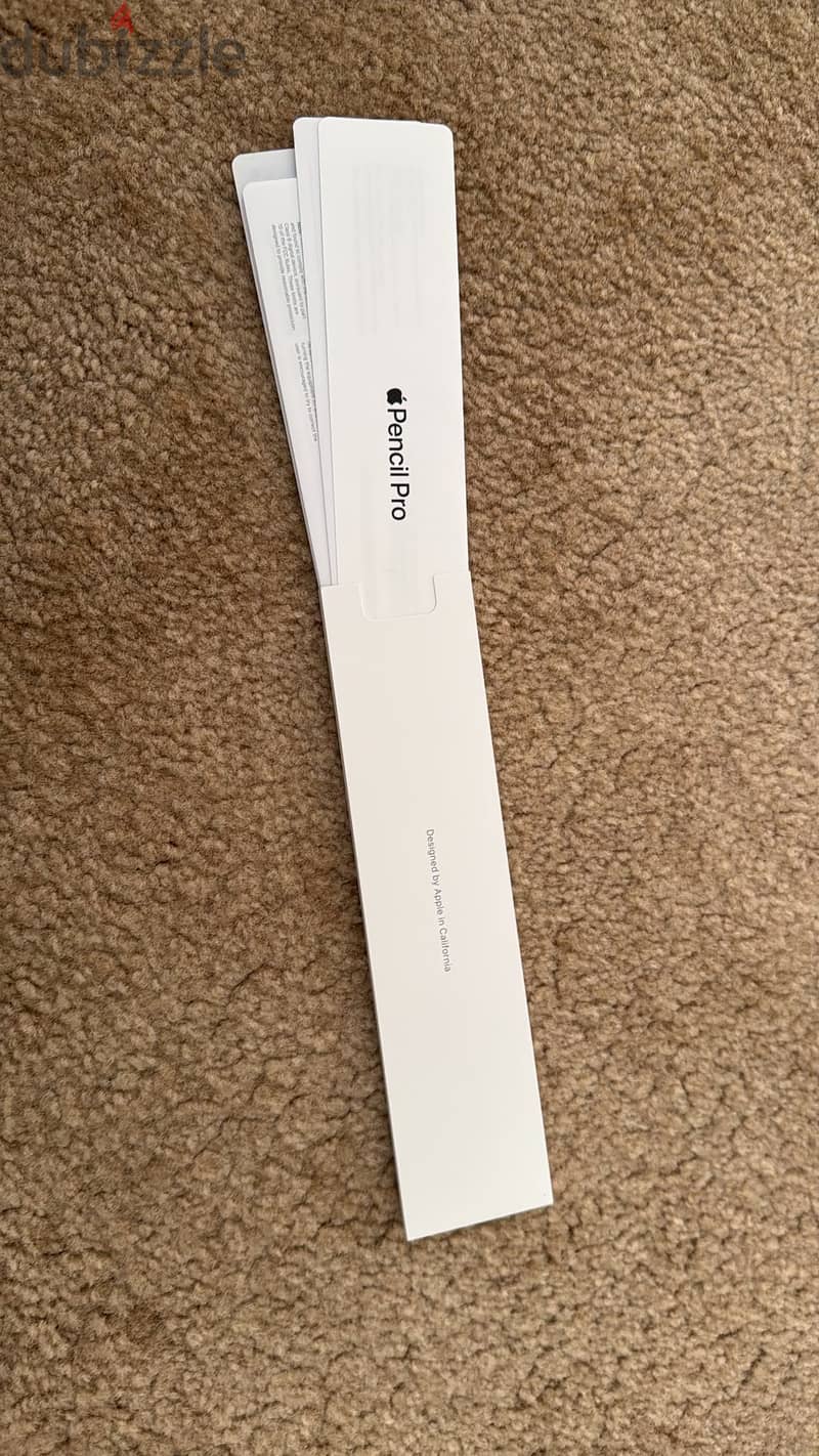 Apple Pencil 6