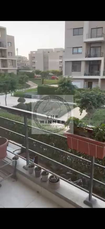 شقه في المراسم للبيع