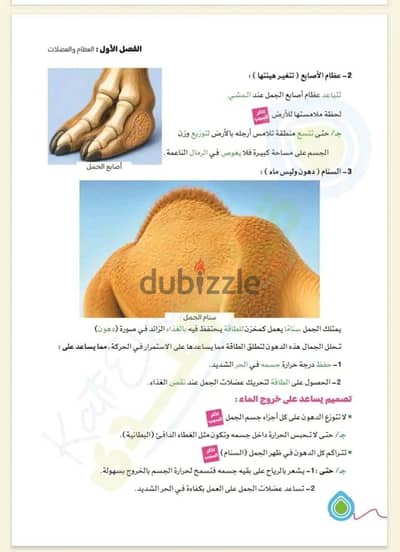 اكاديميه اون لاين لجميع المواد بأفضل المدرسين واحسن سعر