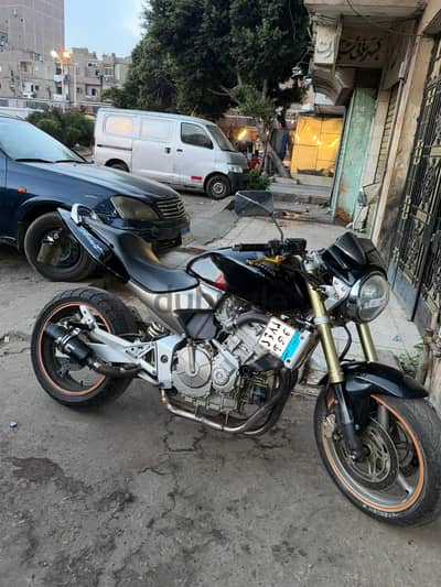 hornet 600