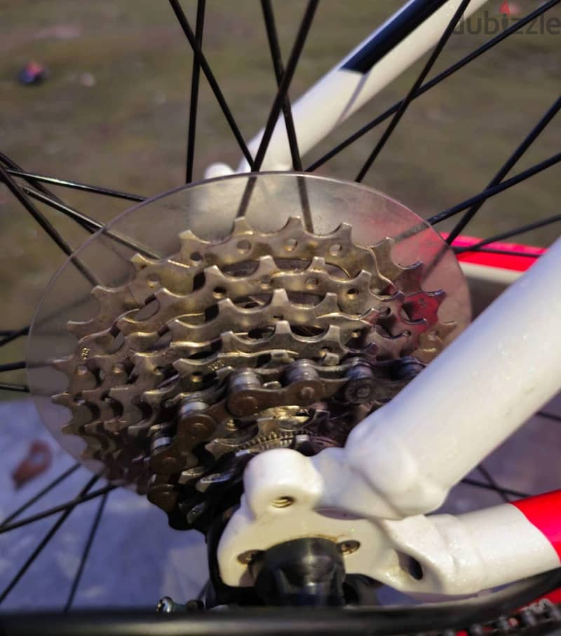 TREK ONE SERIES 1.1 19