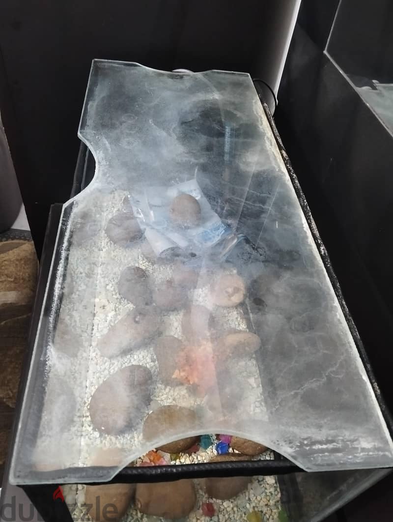 حوض سمك 3