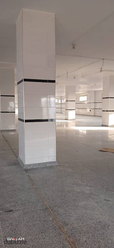Factory for rent in Badr City
