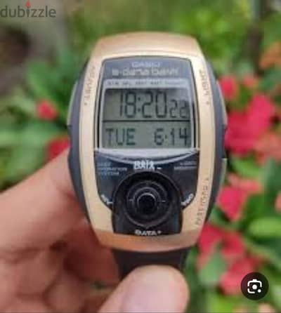 Casio