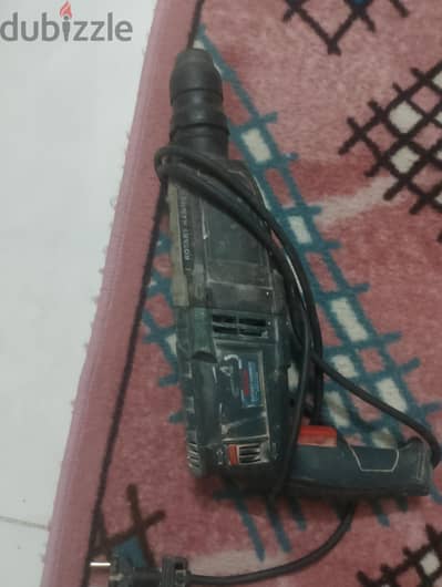 هيلتي بوش