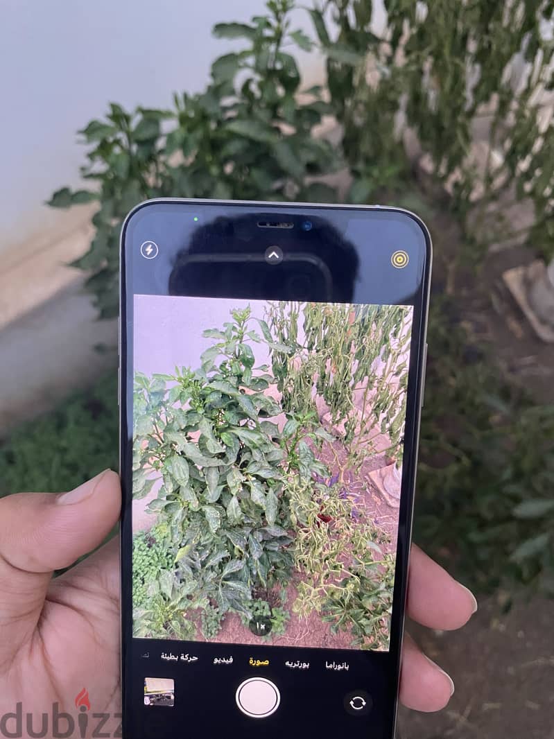 iPhone XsMax/256 8