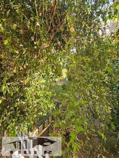 Ground floor apartment for rent in Madinaty B1 - a great opportunity for housing in a location very close to services, with a private garden of 50m.