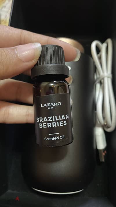 Lazaro car sent diffuser