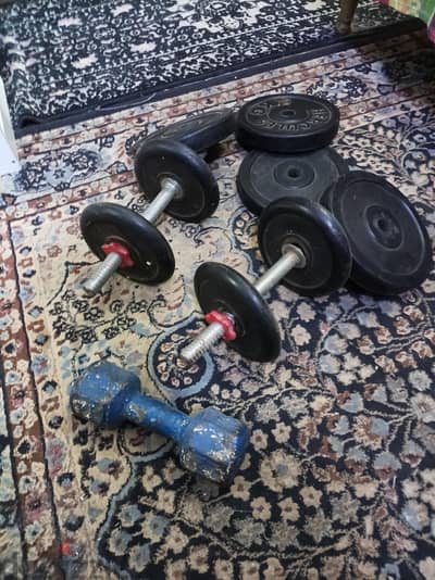 free weights