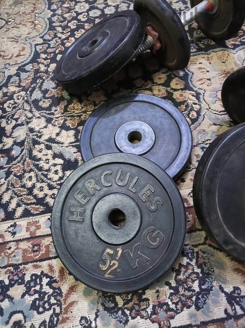 free weights 1
