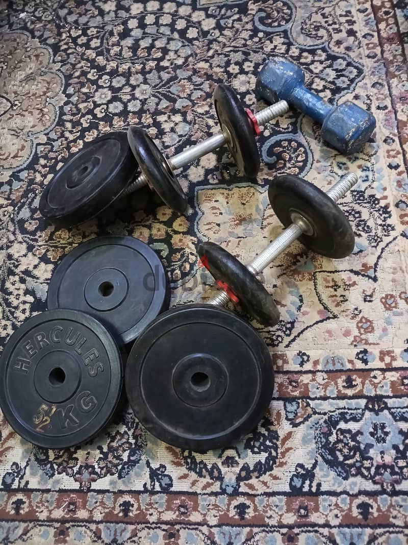 free weights 2