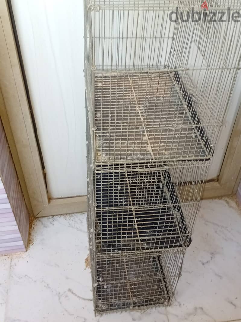 سلاكه 3 ادوار 1