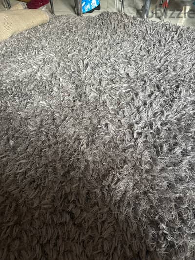 سجادة شاجي (Shaggy Rug