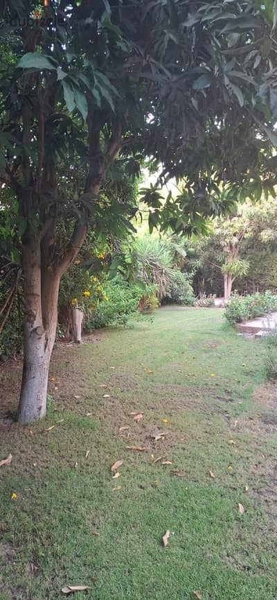 Own now in Al-Rehab City a detached villa Stand Model K