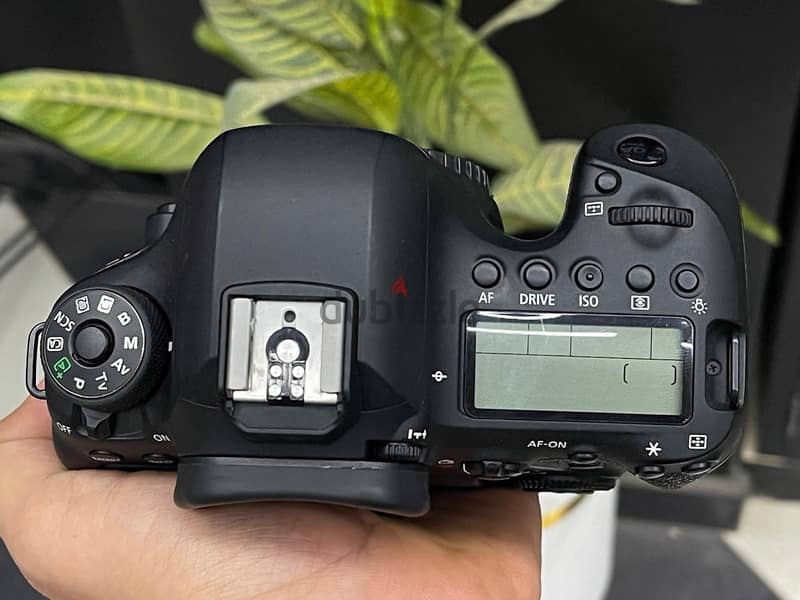 Canon 6dii 2