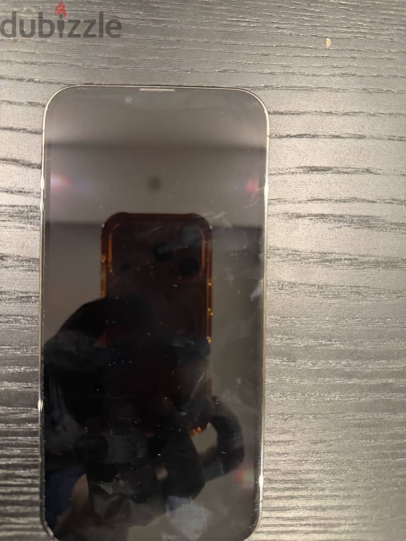 Apple - iPhone 13 Pro Max 1