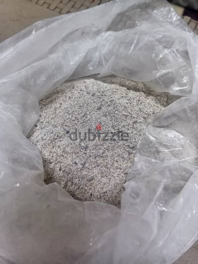 بصل مجفف بودر