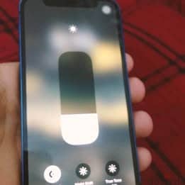 iPhone 12 mini 5