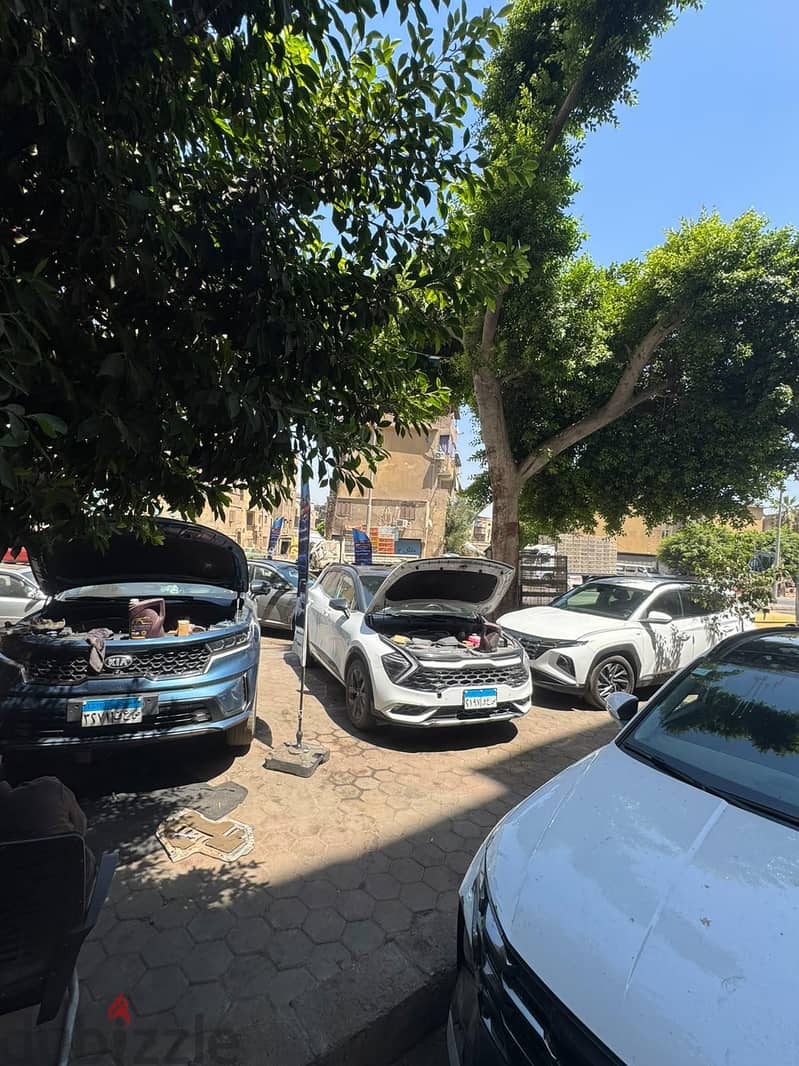 ايجي كوريا 3