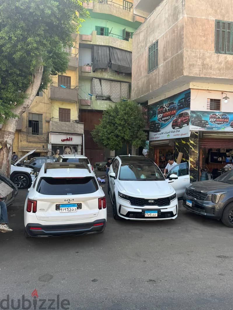 ايجي كوريا 4