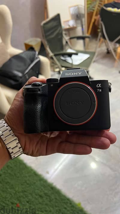 Sony a7iii with sigma 24/70f2.8 dg dn
