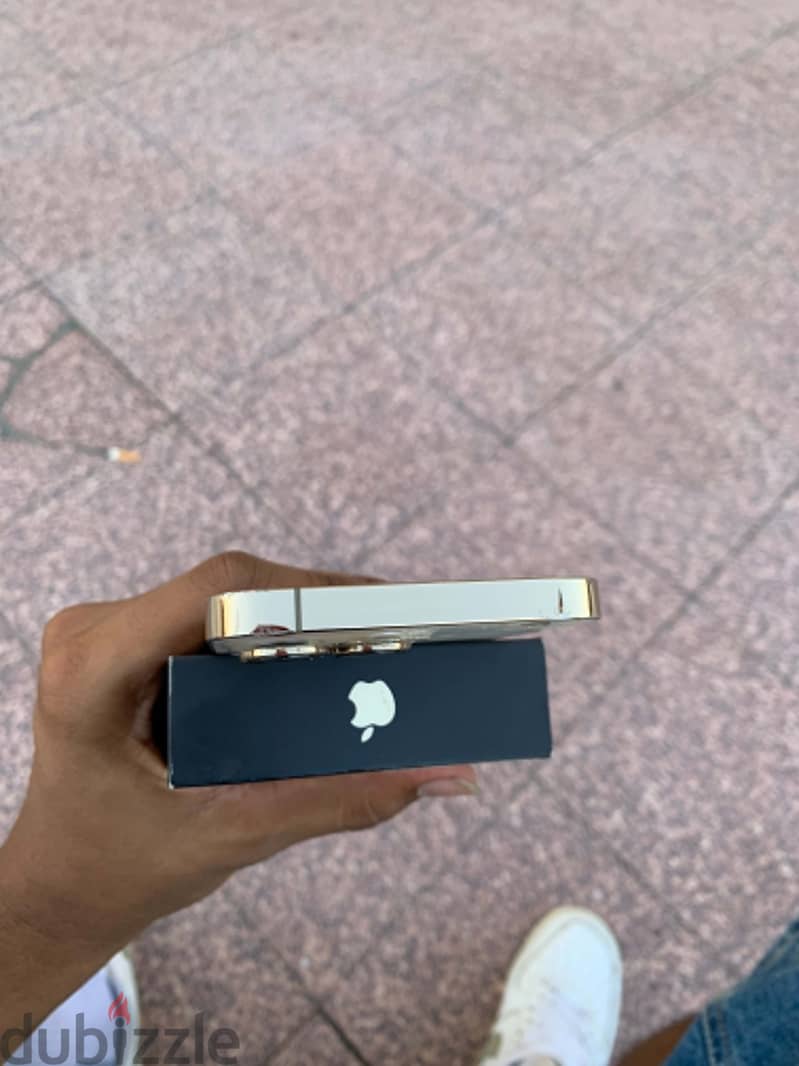 IPhone 13Pro 256 giga 9