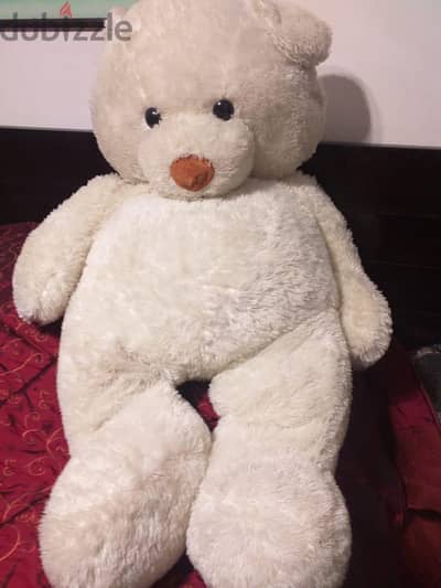 bear.