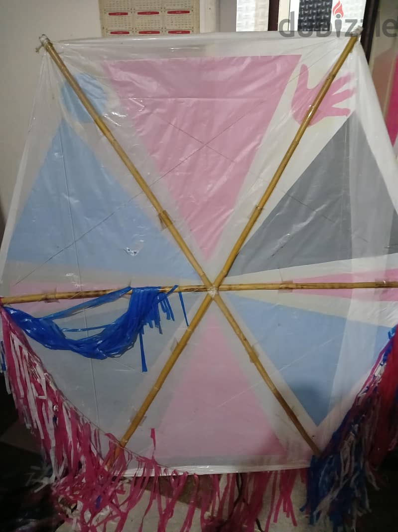 طياره بوص 1