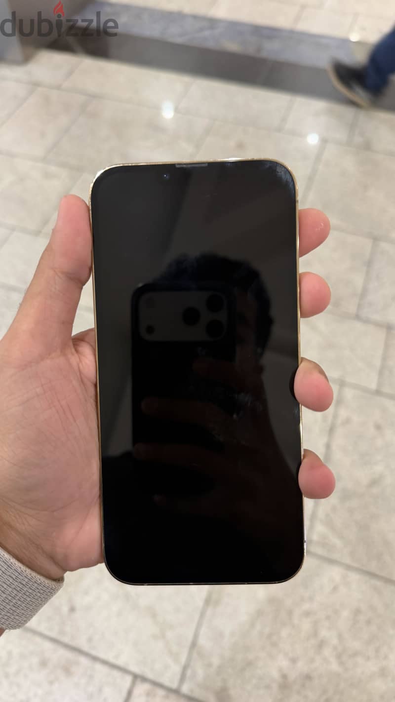 Apple - iPhone 13 Pro Max 1
