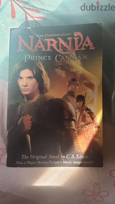 narnia book