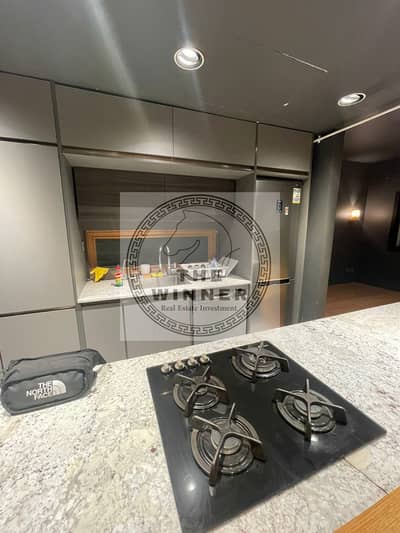 Apartment for rent in eastown with appliances