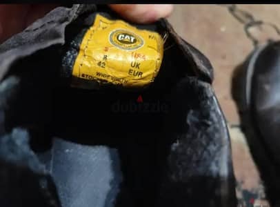 كات أصلي فرصة