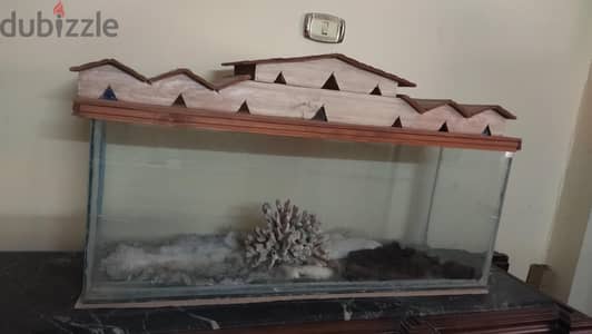 حوض سمك