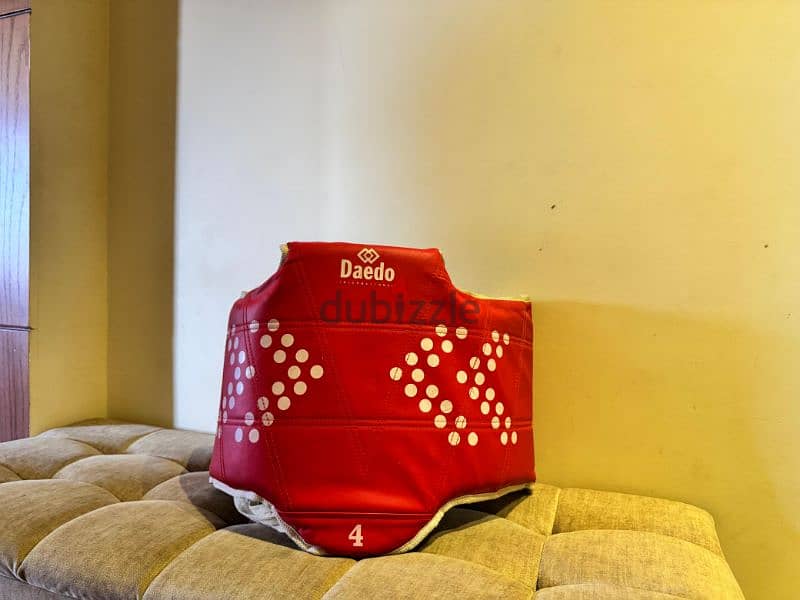 taekwondo chest guard 1
