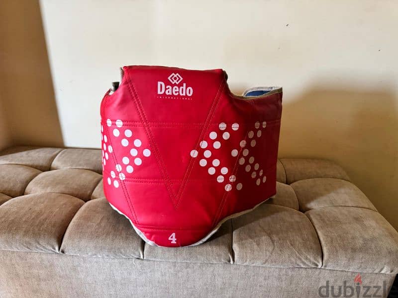 taekwondo chest guard 2