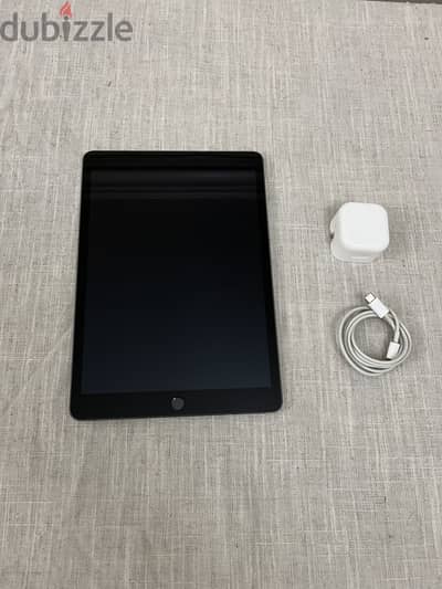 iPad 9th Gen 10in 256 GB