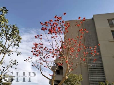 بسعر شامل الصيانة دوبلكس جاردن للبيع للاستلام الفوري في بالم هيلز كابيتال جاردنز Palm Hills Capital Gardens