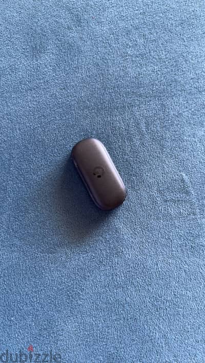 Google Fitbit Air
