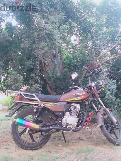 وينج 200بنت 3شهور وينج