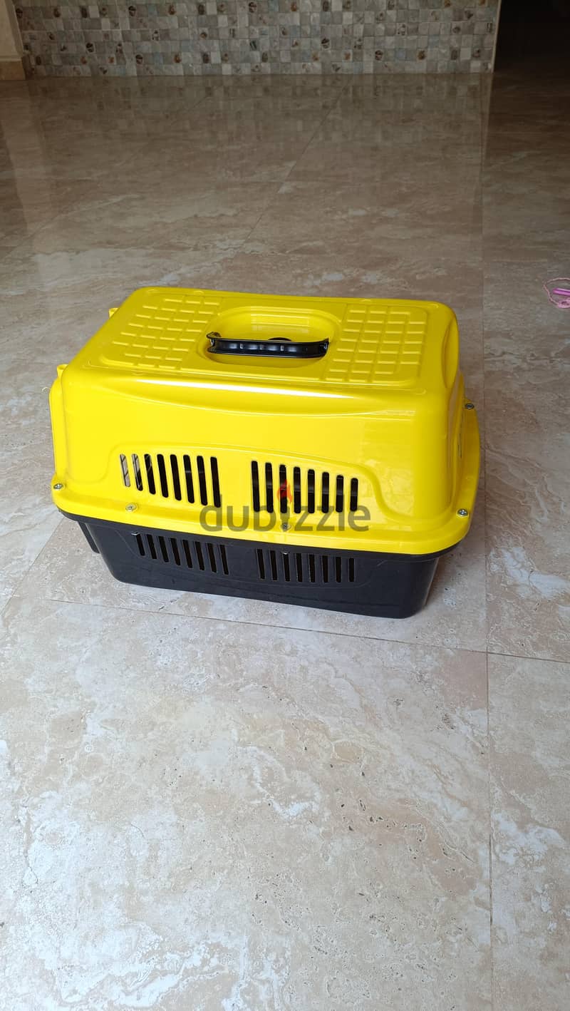 cat box 1