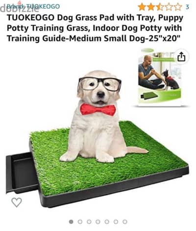 Dog place and dog toilet