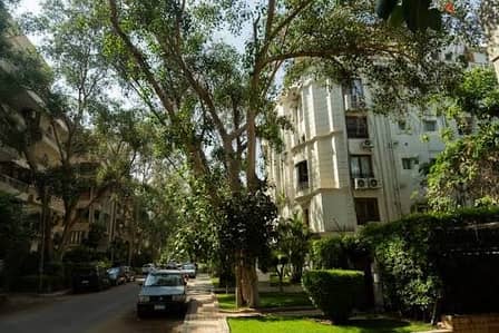 Ground floor Duplex for sale in one of the finest streets of Maadi Ground floor Duplex for sale in one of the finest streets of Maadi