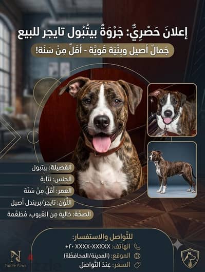 Pitbull
