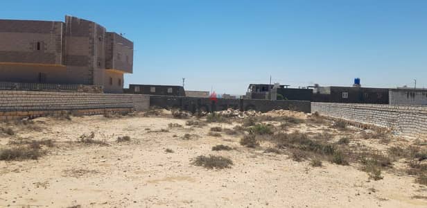 أرض للبيع بمينا حشيش - عقد أزرق