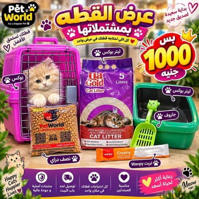 قط شيرازي